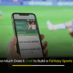 How Much Does it Cost to Build a Fantasy Sports App