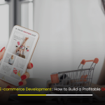 Shopify E-commerce Development Banner – How to Build a Profitable Online Store